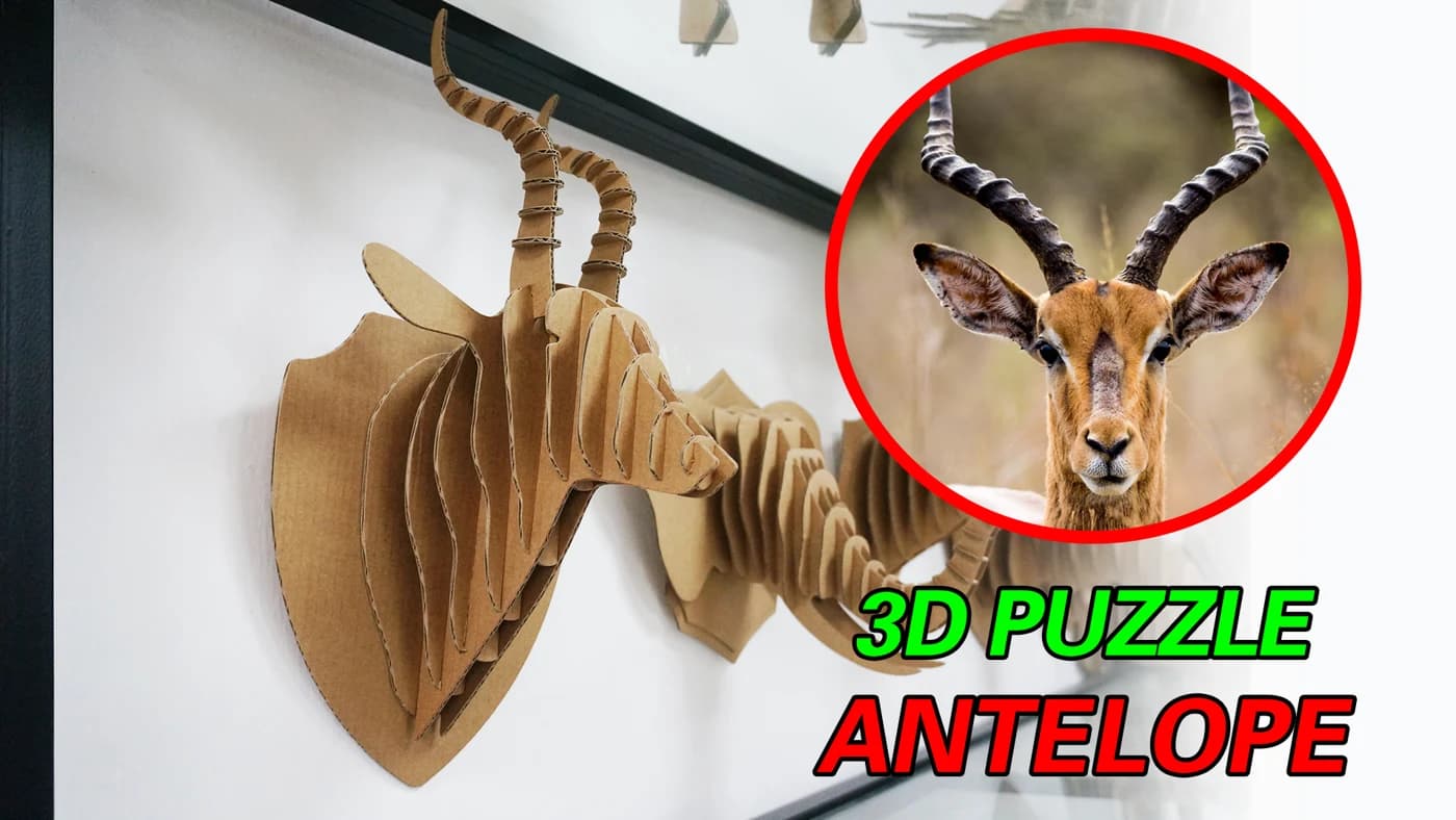 antelope design model DIY cardboard 3D puzzle CS157 — original detail illustration