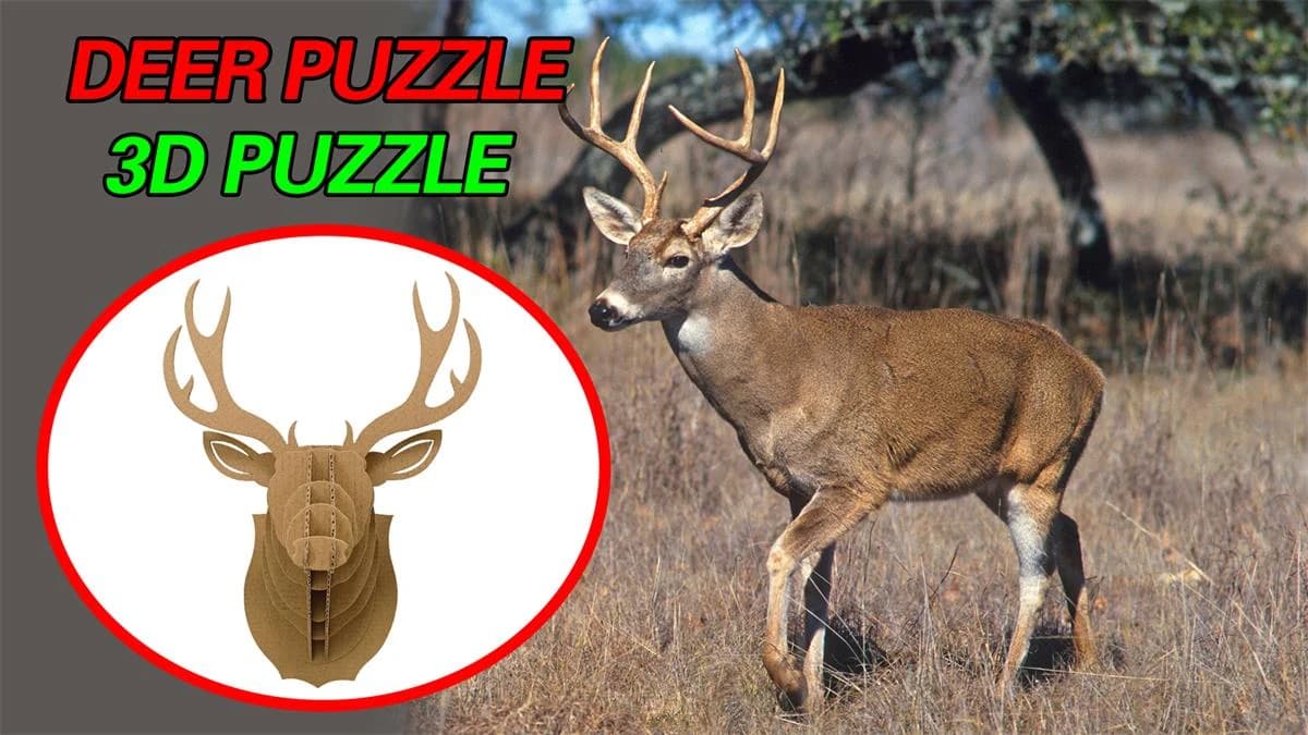 DIY The Deer corrugated cardboard 3D Puzzle for home decoration CS178 — original detail illustration