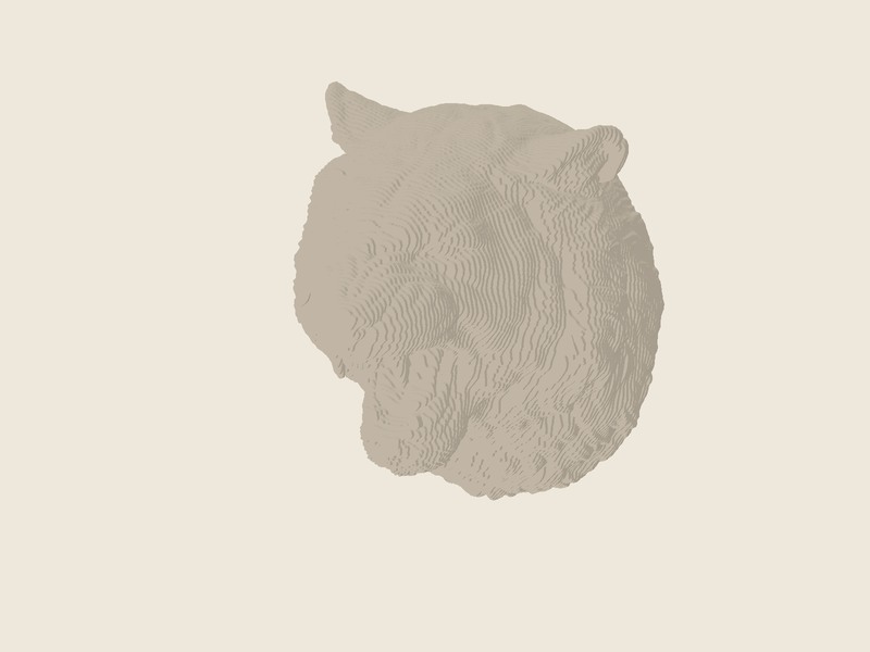 Tiger head model render